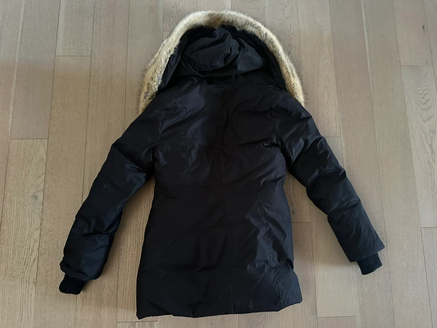 ARITZIA babaton Harrison Parka  small - Goosedown & waterproof image indicator(4)