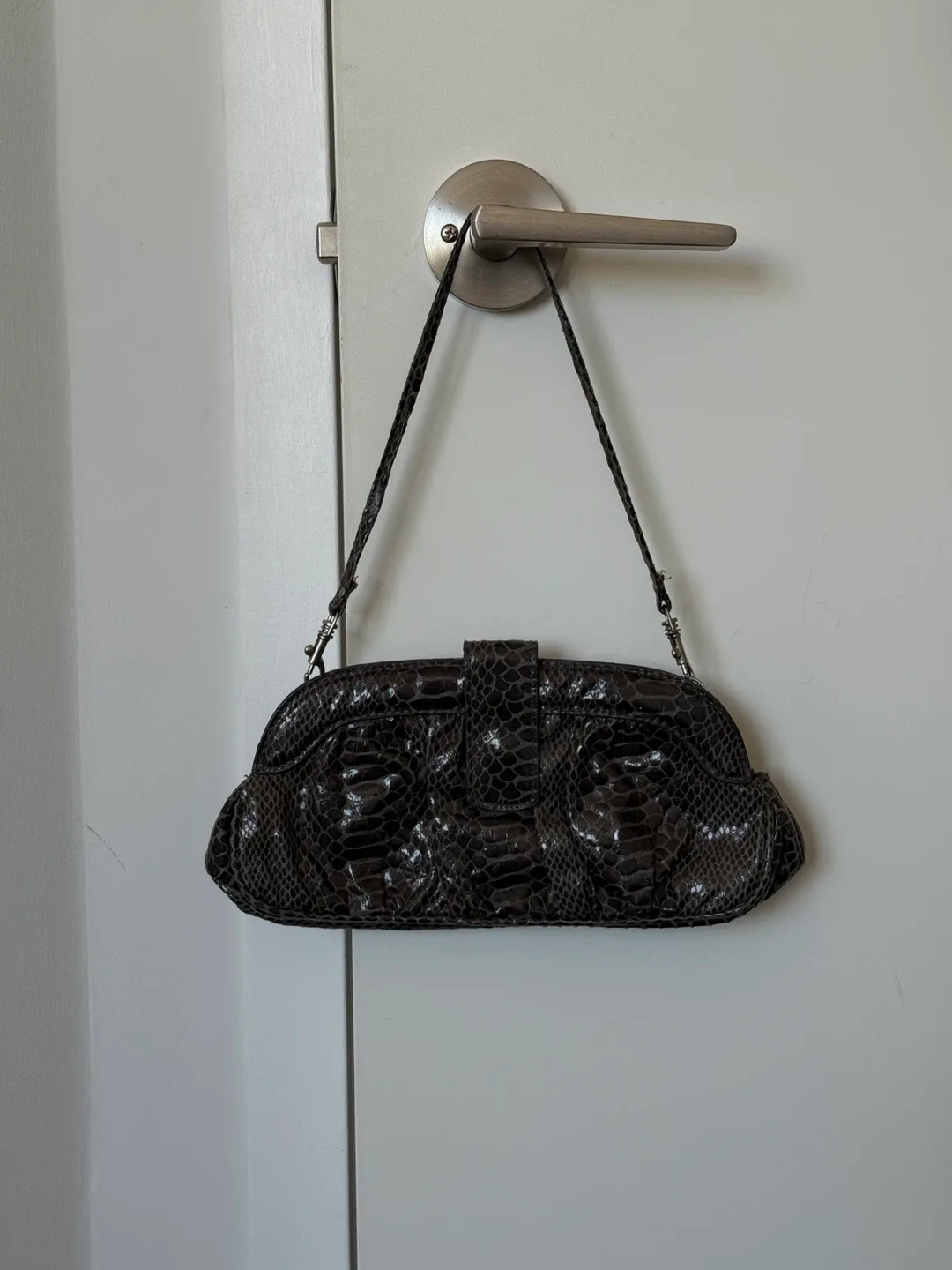 ALDO Snakeskin Clutch