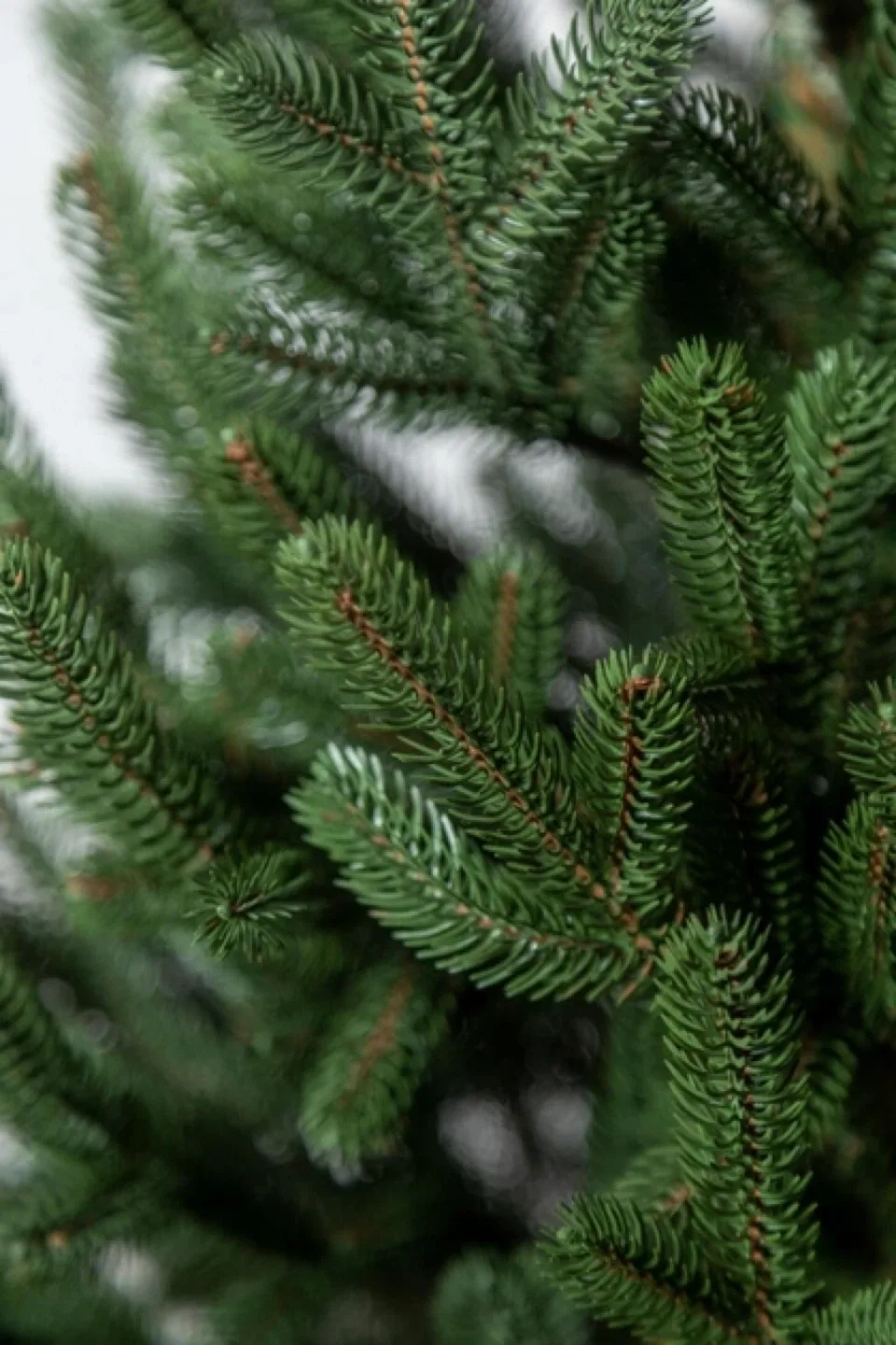 Small artificial Christmas tree image indicator(4)