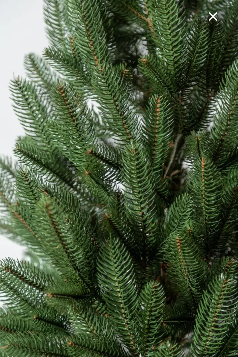 Small artificial Christmas tree image indicator(2)