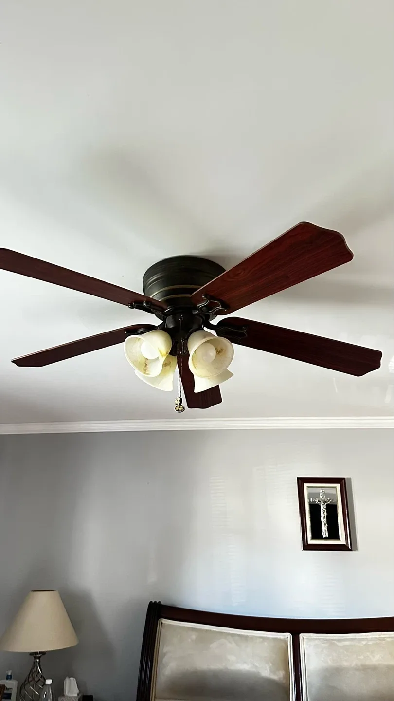 Ceiling Fan with Light Fixture image indicator(3)