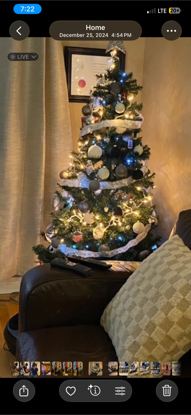 5.5 feet tall Christmas tree