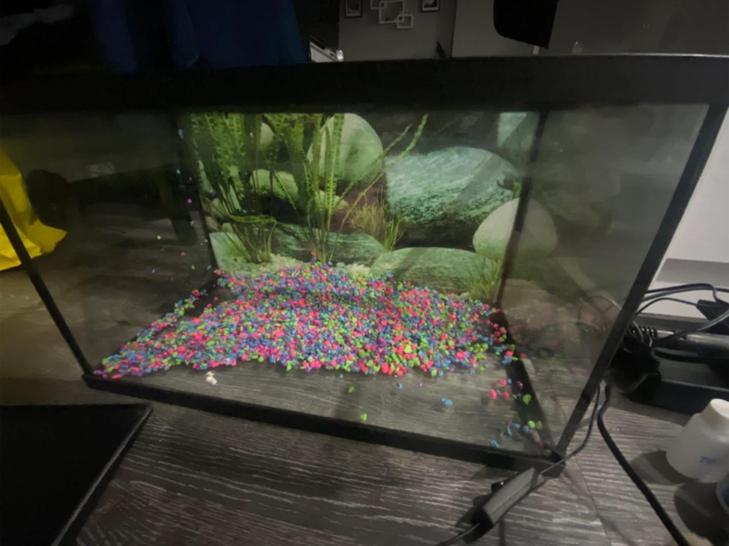 10 Gallon Fish Tank with supplies 🐟 - photo 2