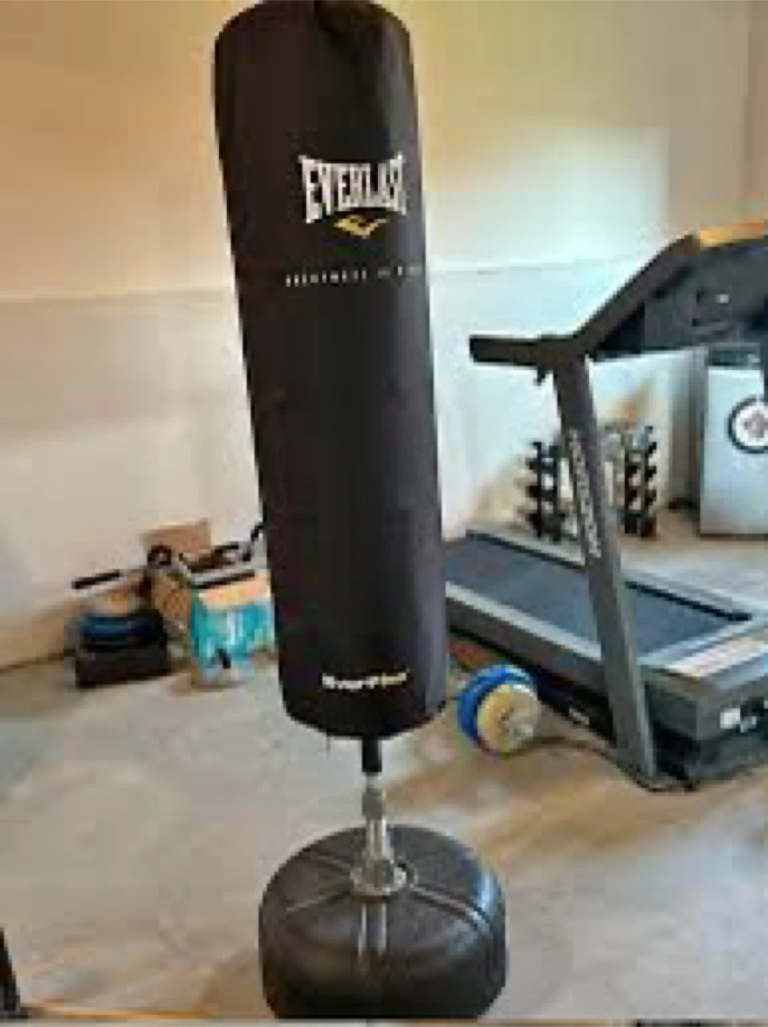 Everlast Freestanding Punching Bag