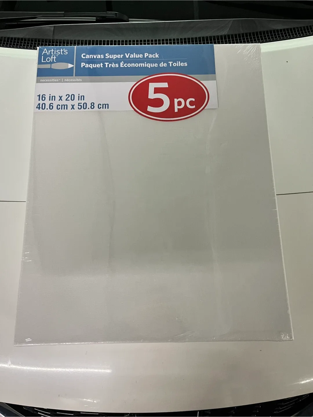 Artist's Loft 5pc Canvas Super Value Pack - 16x20 in