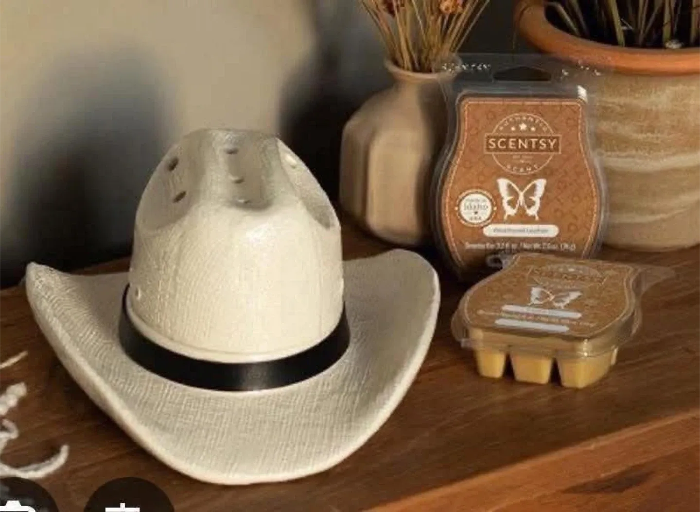 Scentsys Country Warmers!