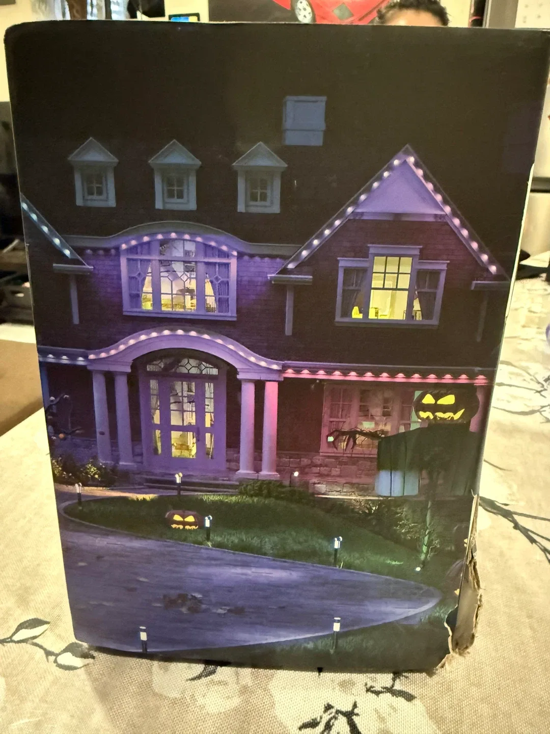 BrizLabs RGB Smart Permanent Outdoor Lights 100ft image indicator(5)