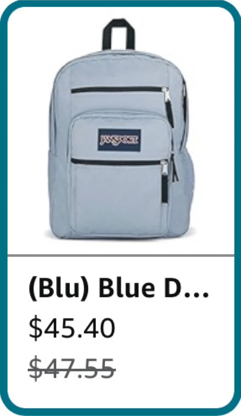 JanSport Backpack - Light Blue - photo 4