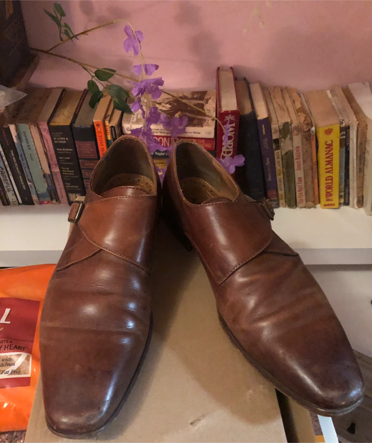 ALDO Brown Leather Monk Strap Dress Shoes - Size 11