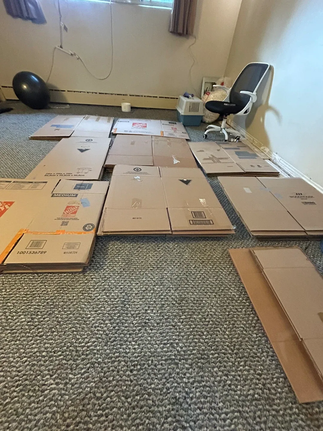 Moving Boxes - assorted sizes & wrapping paper image indicator(2)