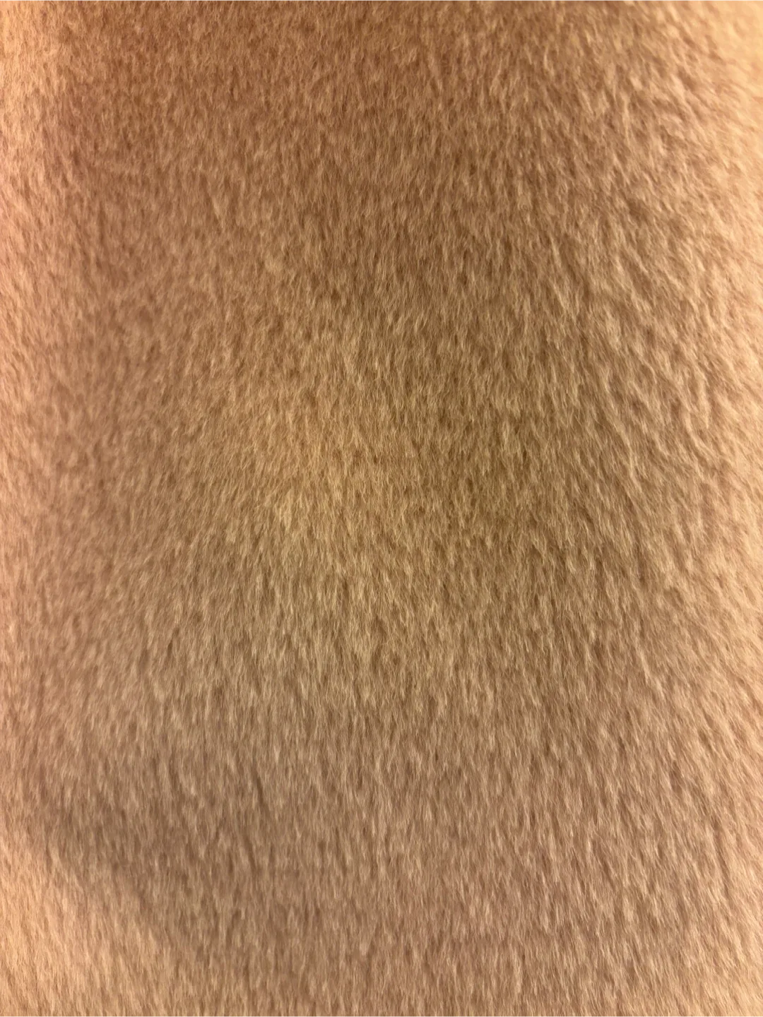 Aritzia Babaton Alpaca Wool Coat - XXS image indicator(8)