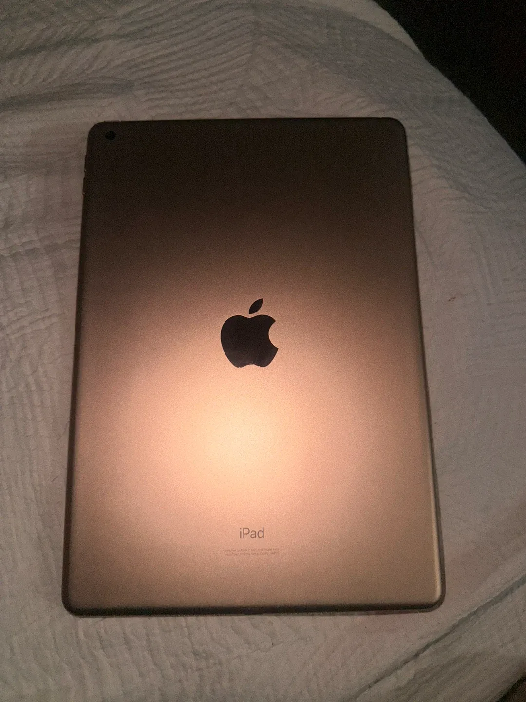 Apple iPad image indicator(3)