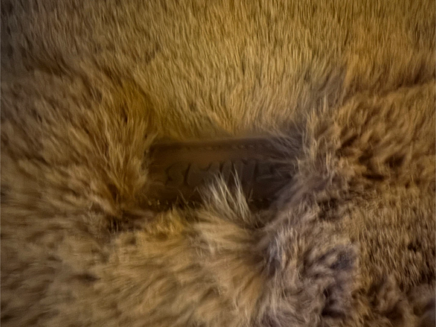 SKIMS Faux Fur Jannis Tote - Camel - photo 2