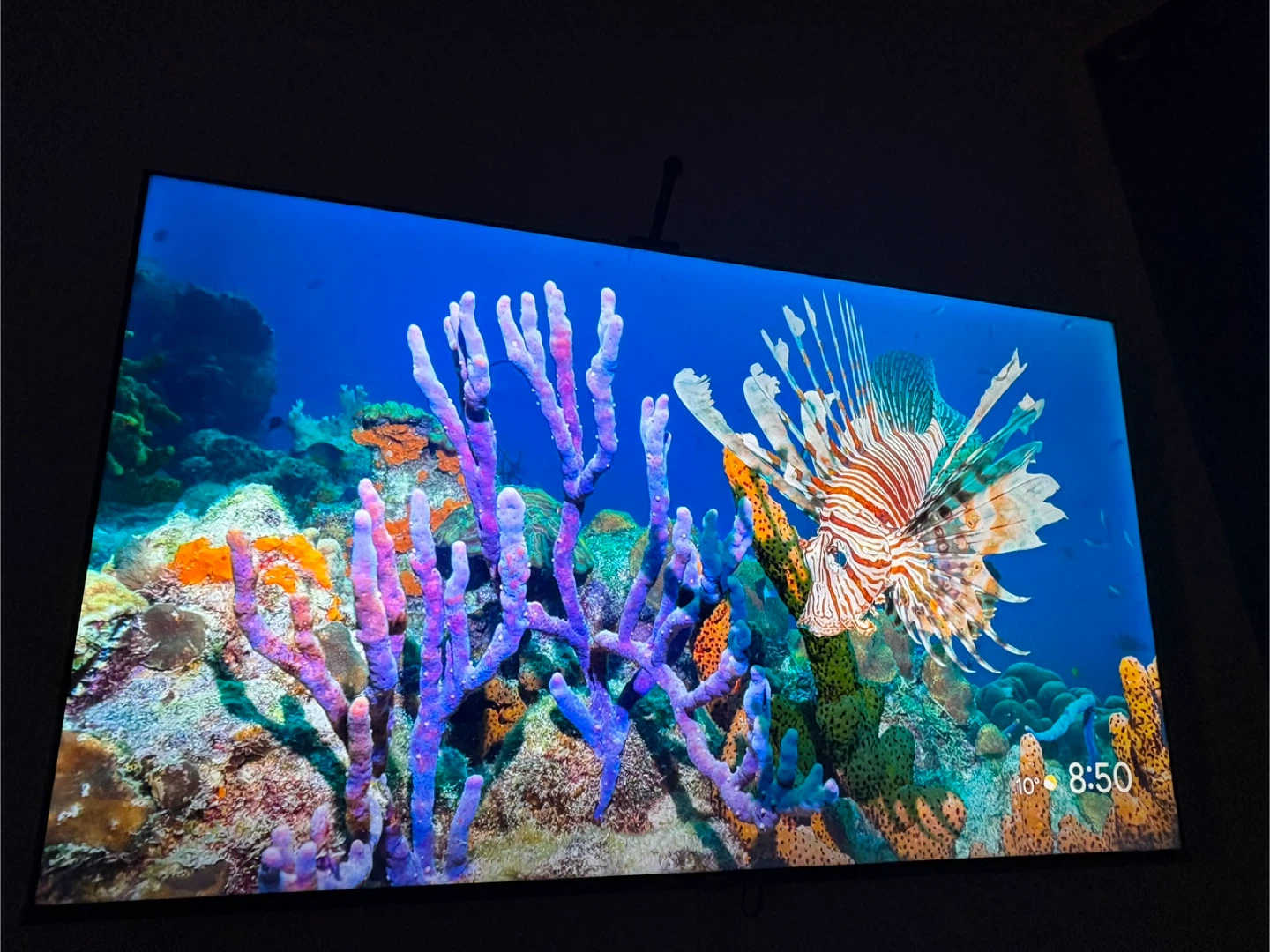 Hisense TV 65 - photo 2