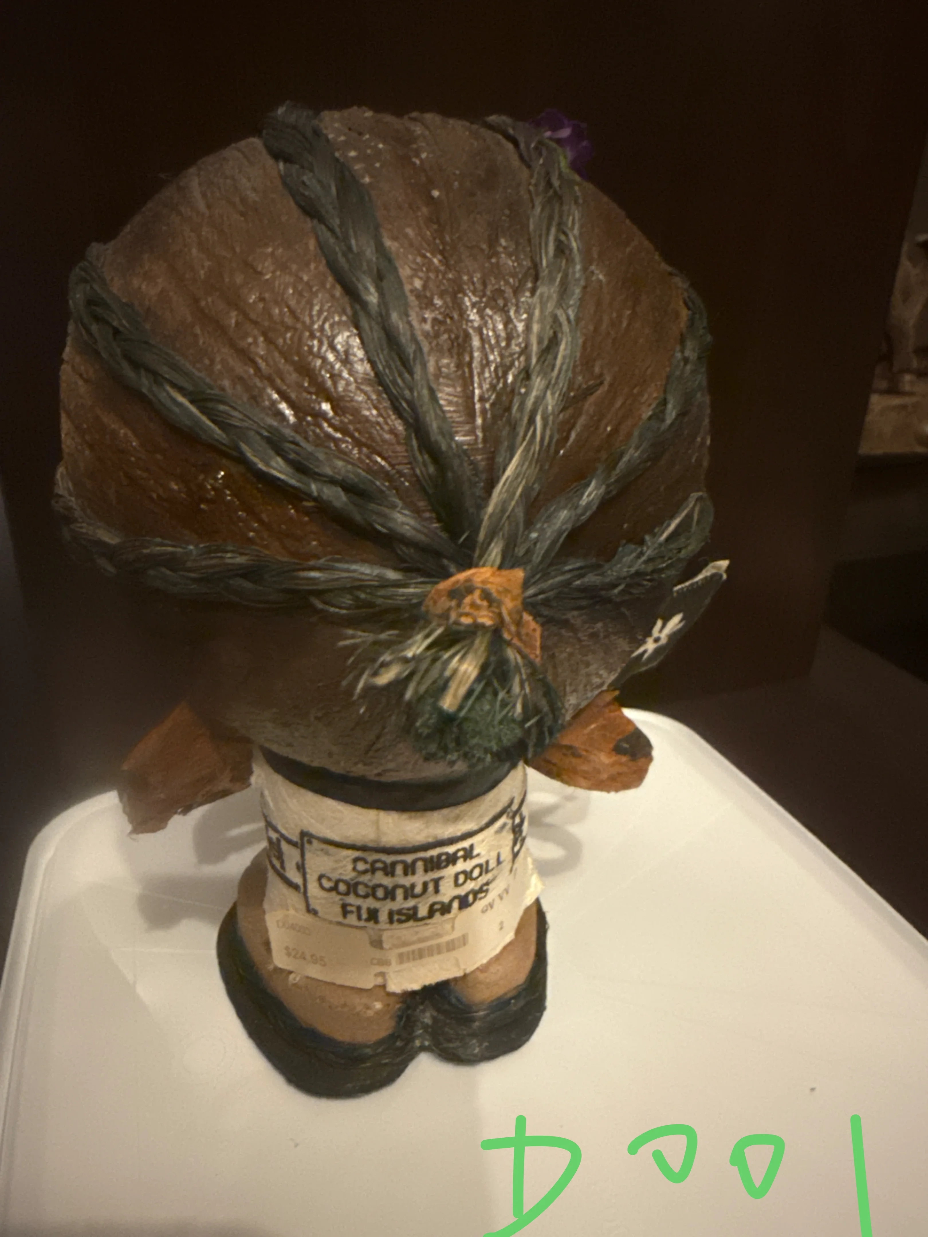 Cannibal Coconut Doll Fiji Islands 2 for $10 image indicator(2)