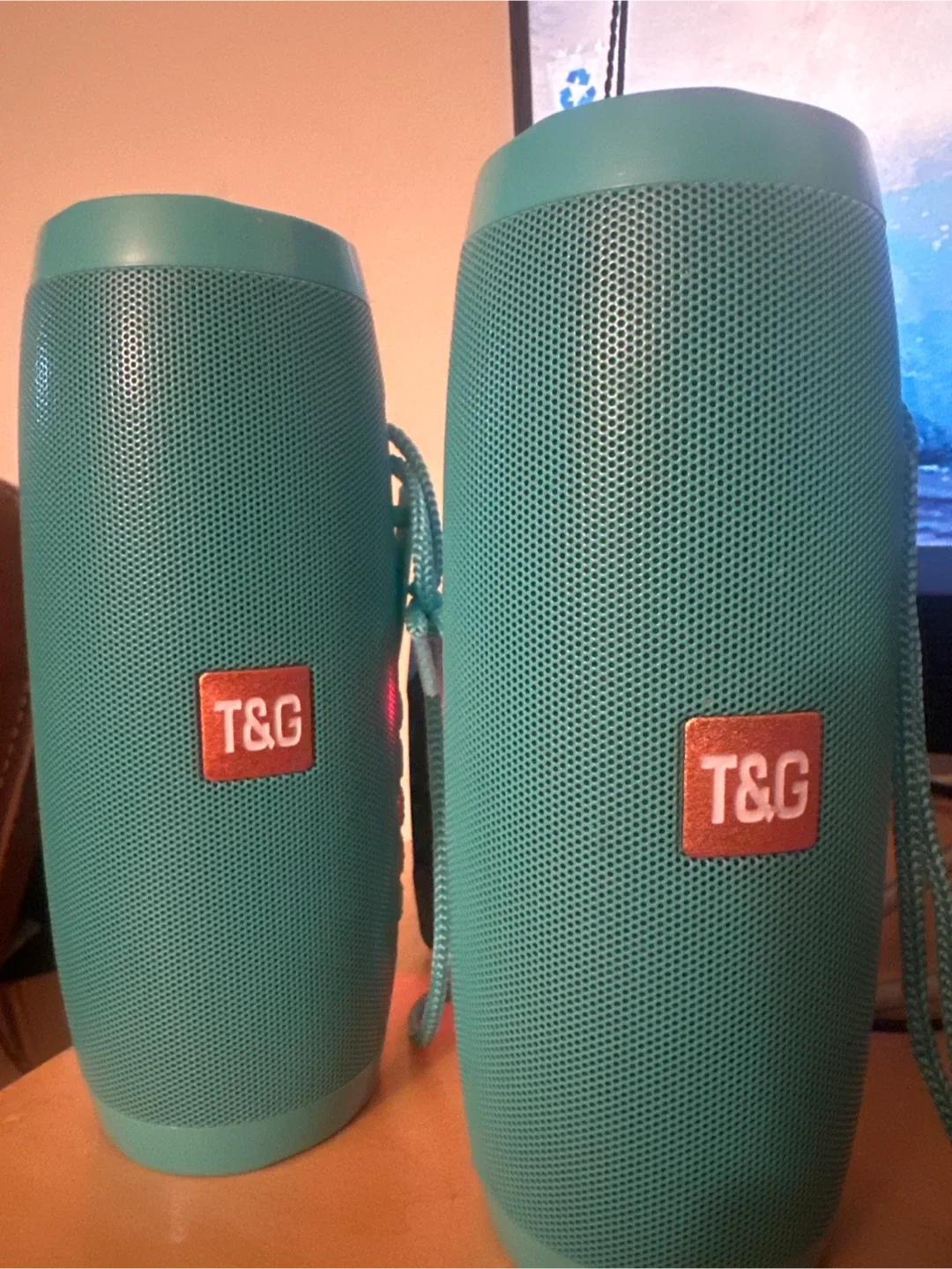T&G Portable Bluetooth Speakers - Teal