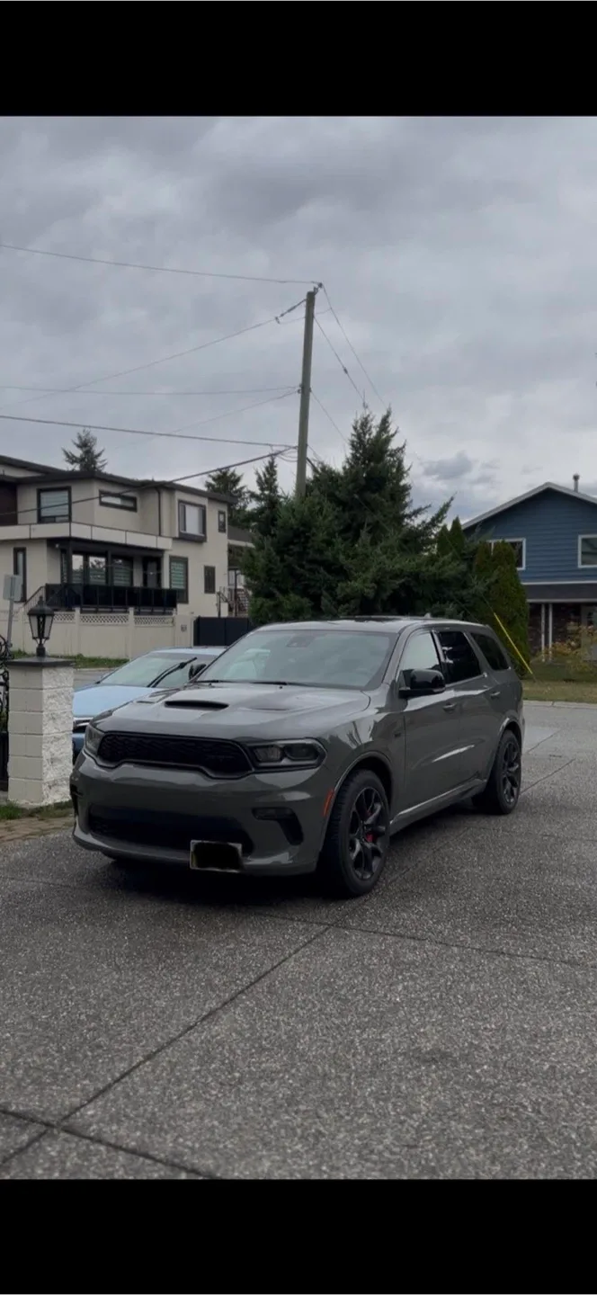 Professional Car Detailing🫧 image indicator(6)