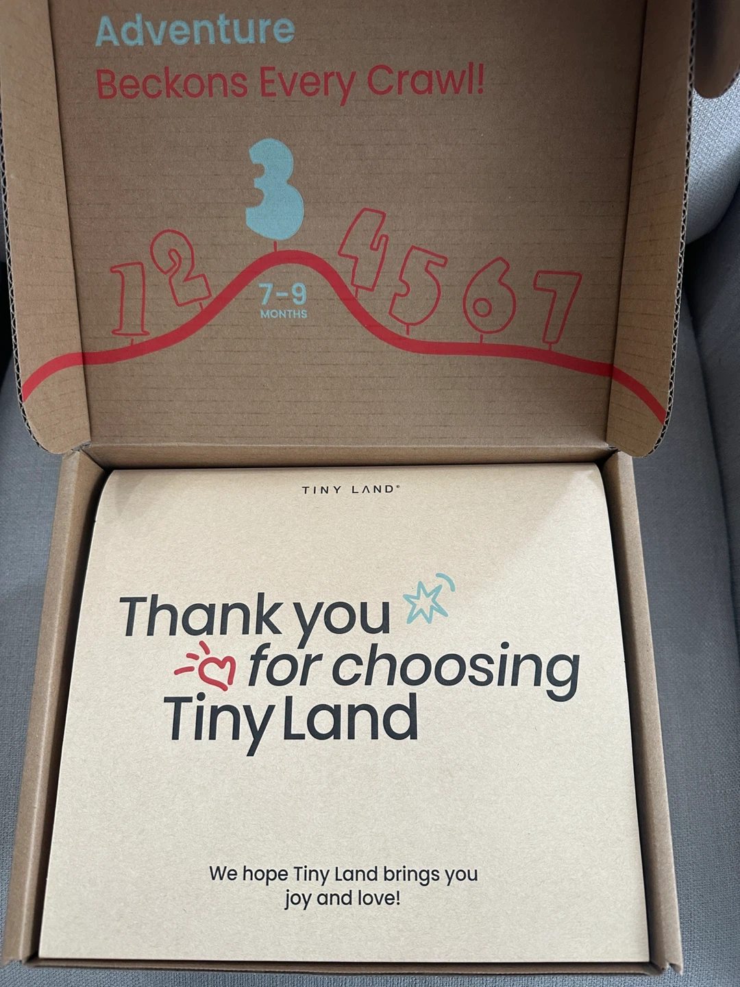 Tiny Land Montessori Play Box (7-9 Months) - photo 5