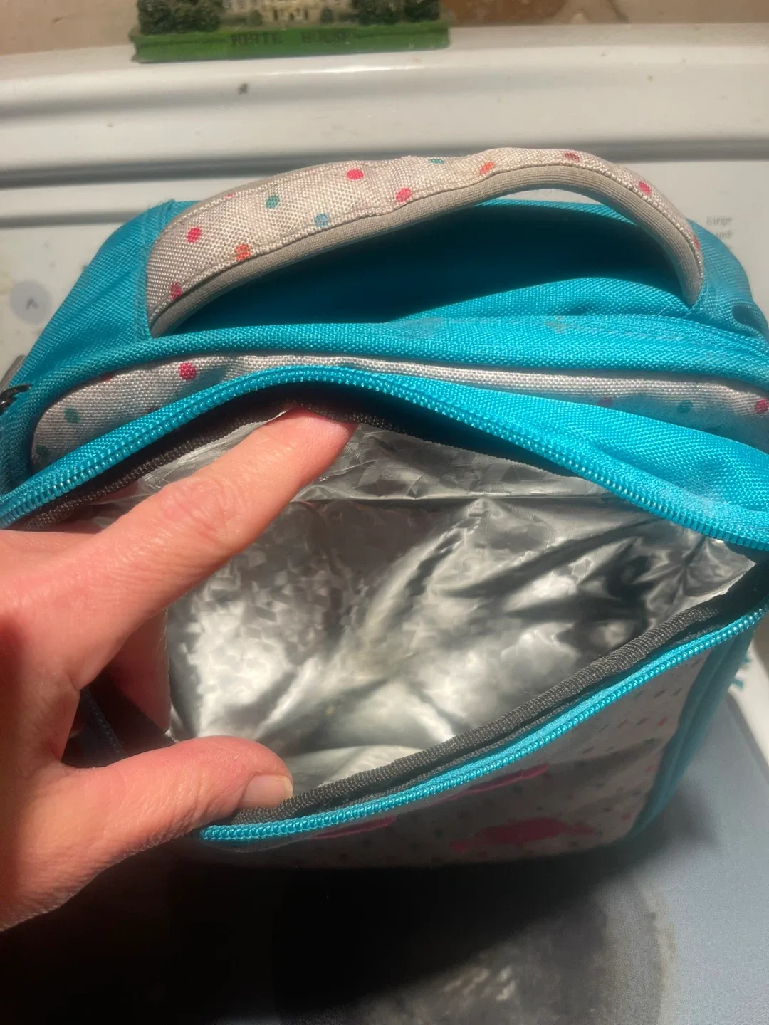 Roots Lunch Bag image indicator(3)