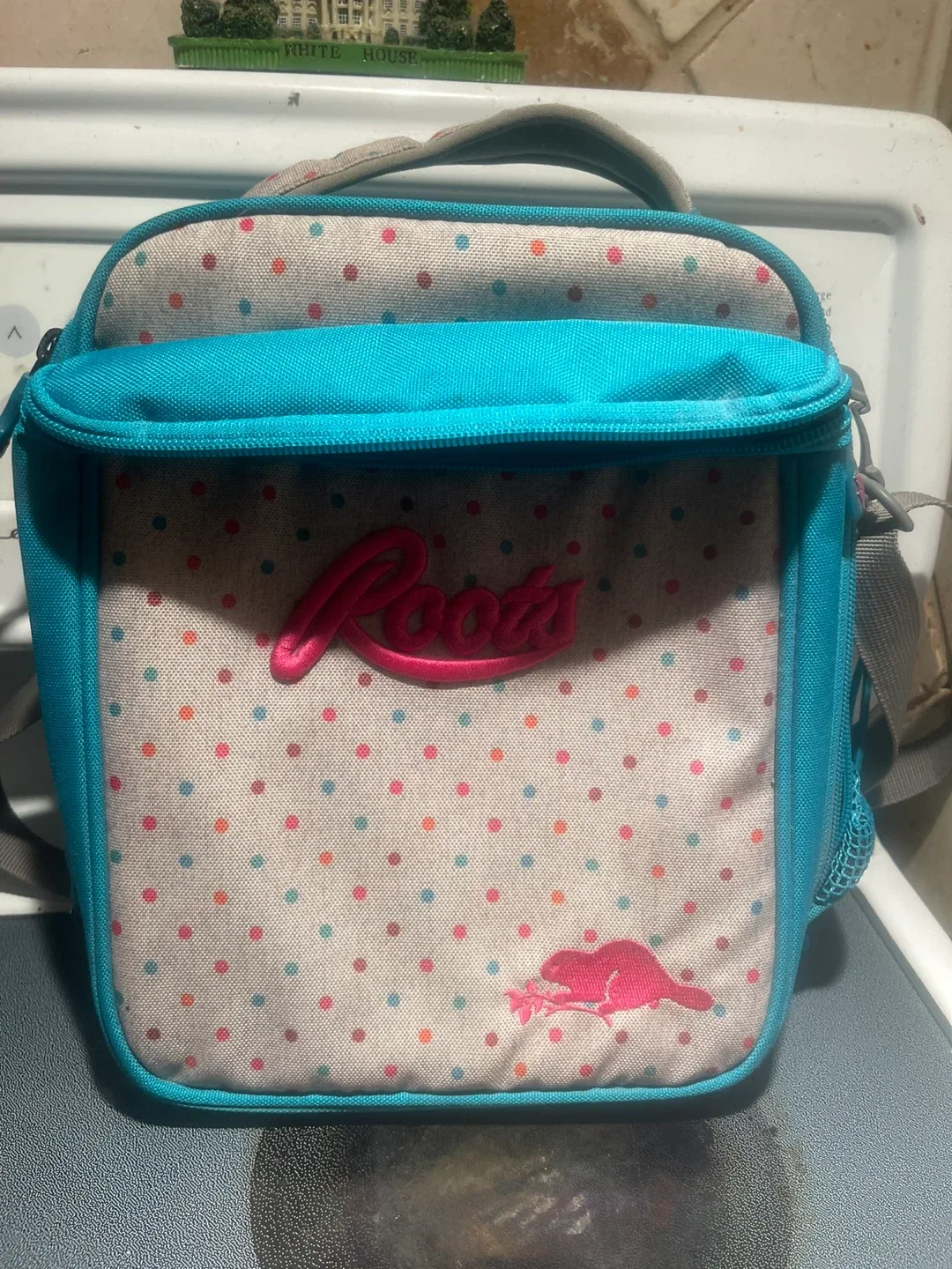 Roots Lunch Bag thumbnail