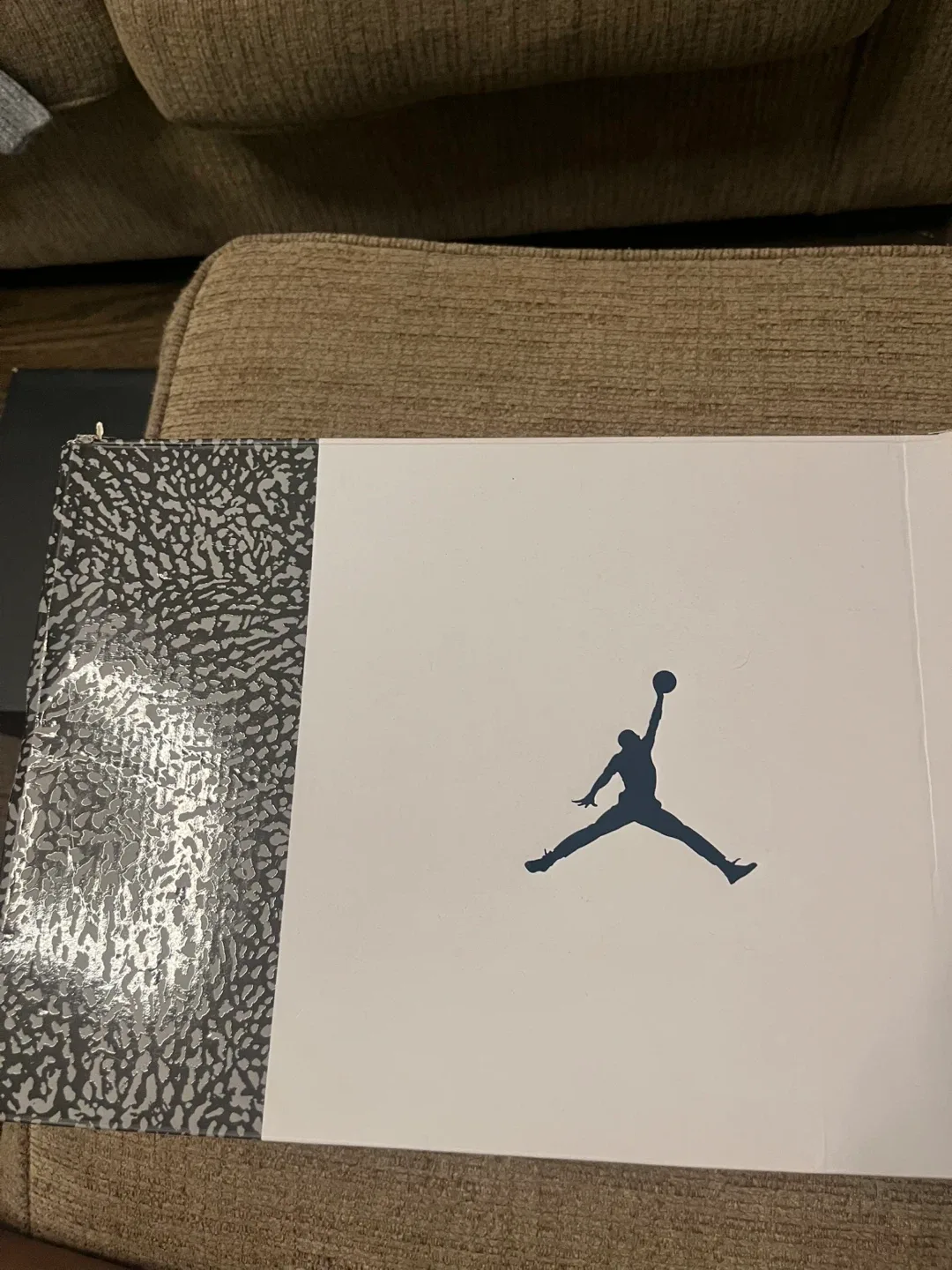 Jordan 3 men image indicator(4)