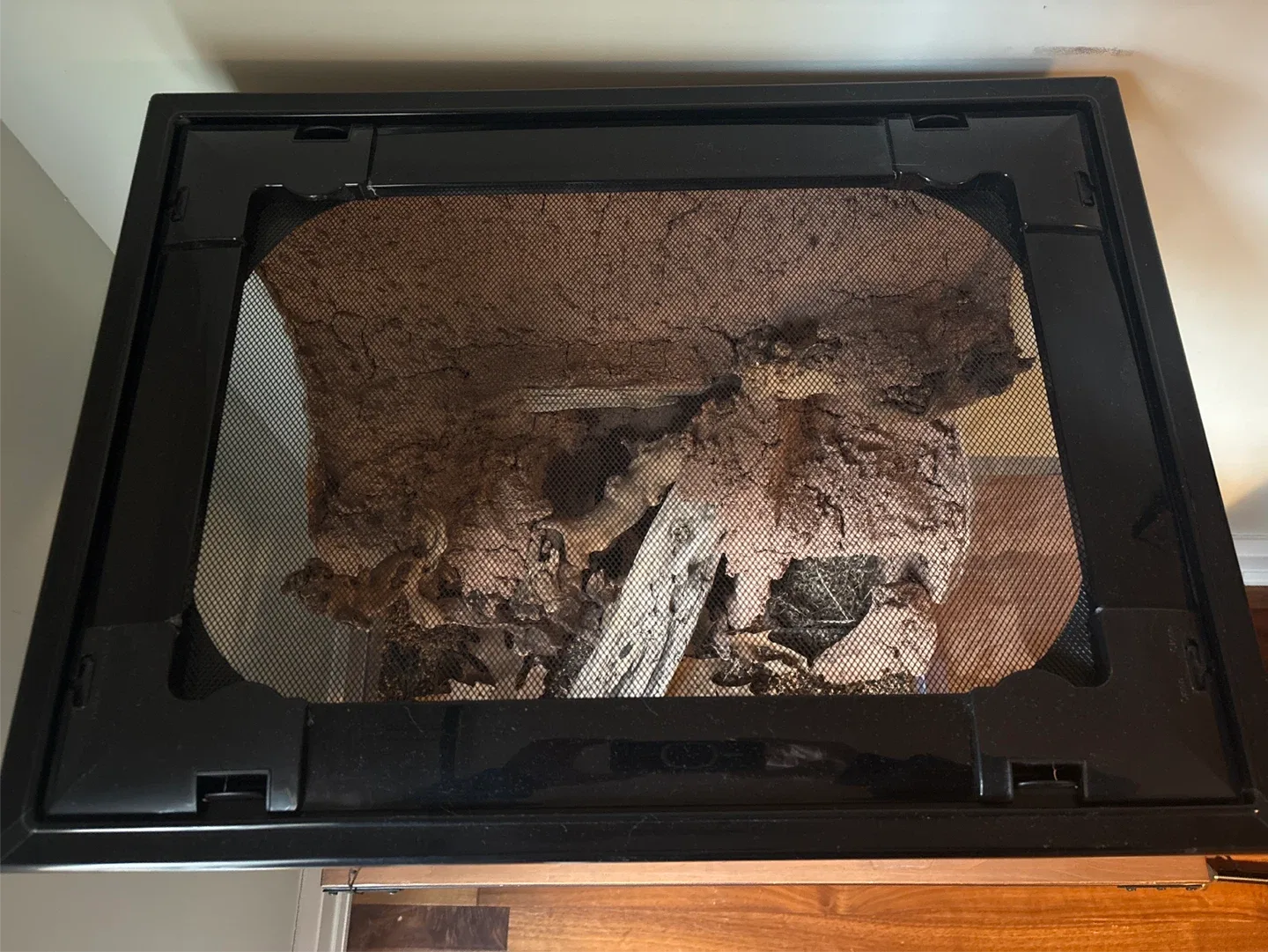 Reptile Terrarium Habitat with Custom Background image indicator(4)