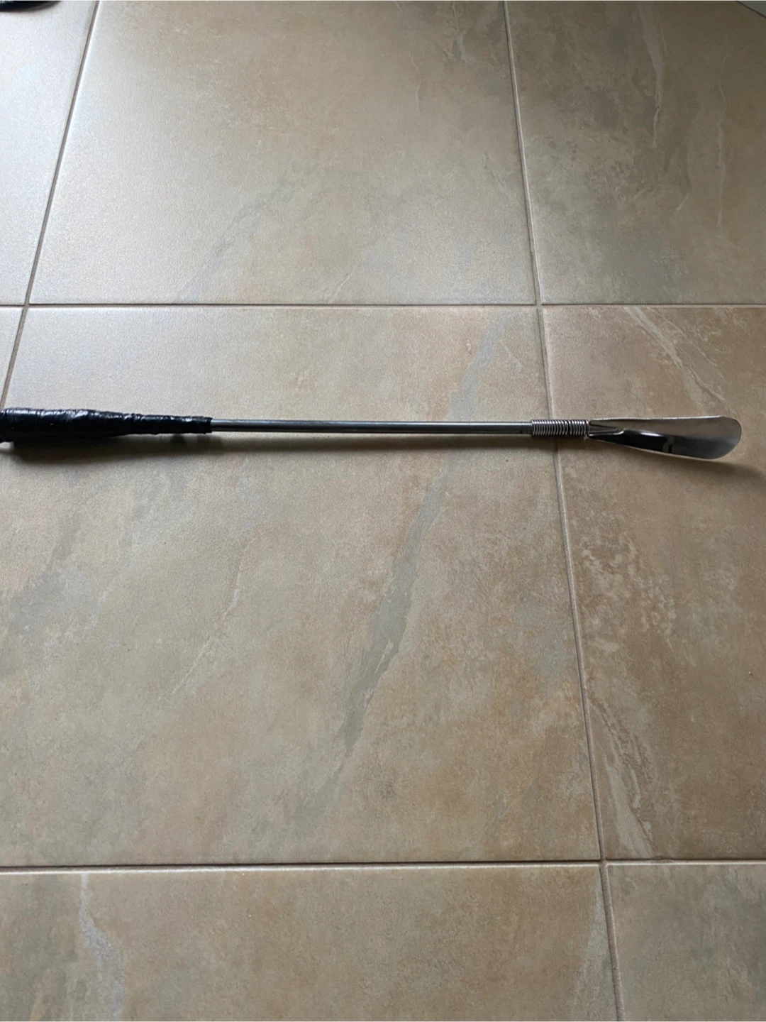 Long handled shoe horn