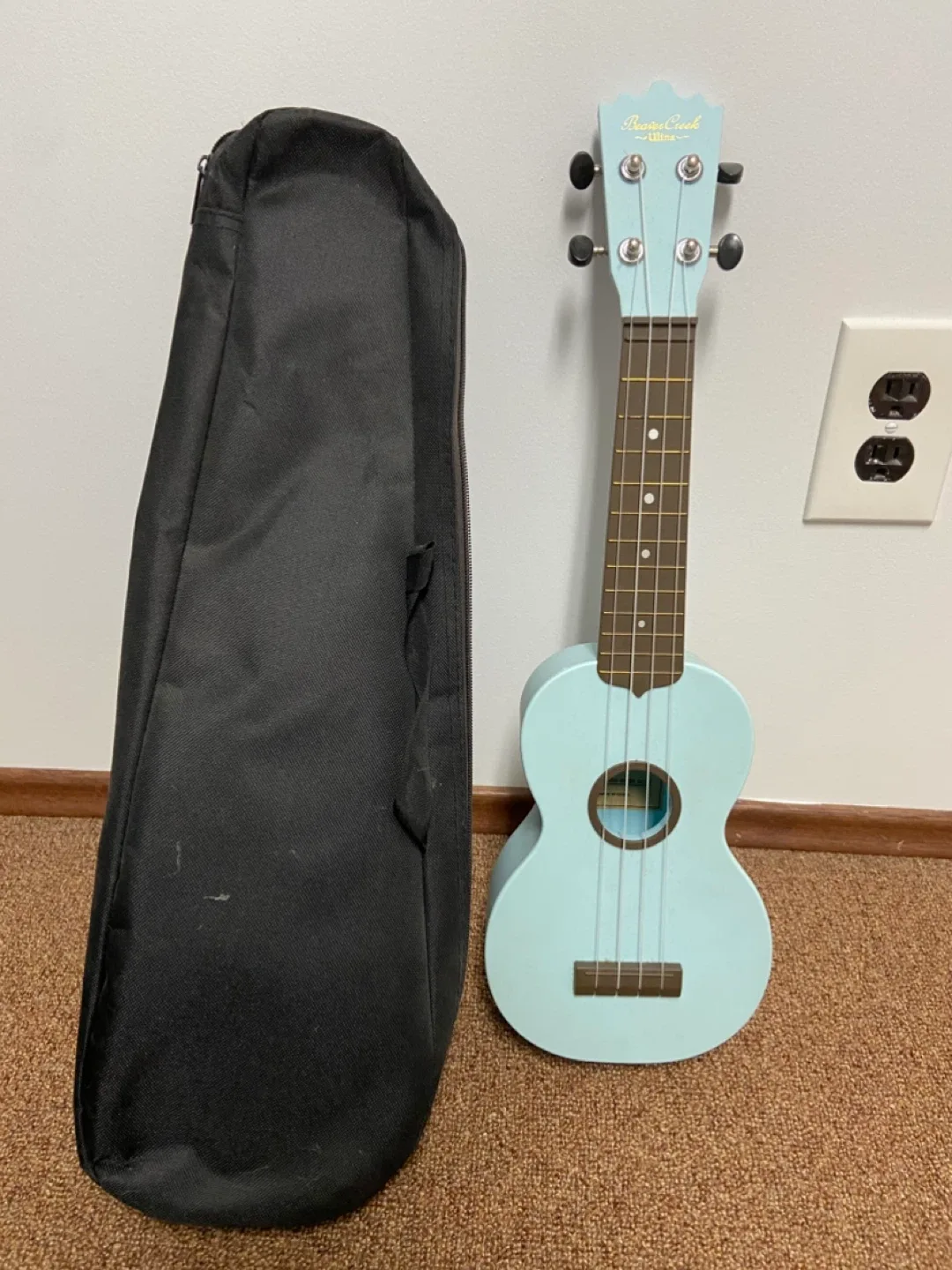 Ukulele (WITH CASE!)