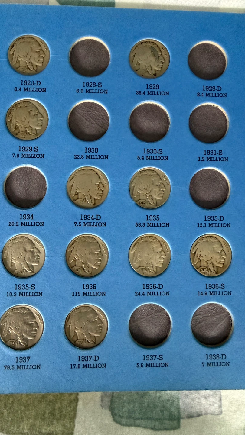 US Buffalo Nickels Collection