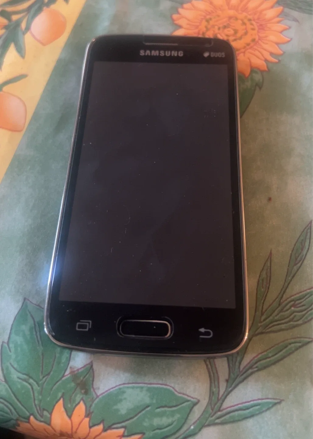 Samsung Galaxy S Duos Doesn’t Work thumbnail