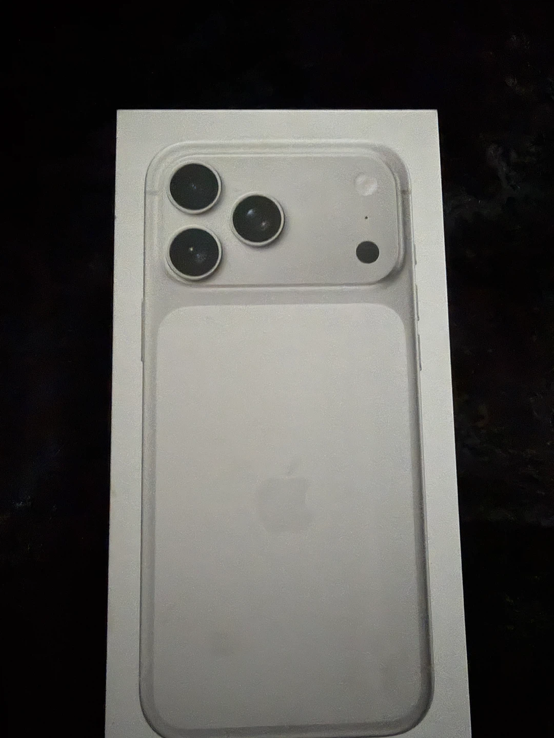 iPhone 17 Pro Max Silver, 256GB (New) - photo 2