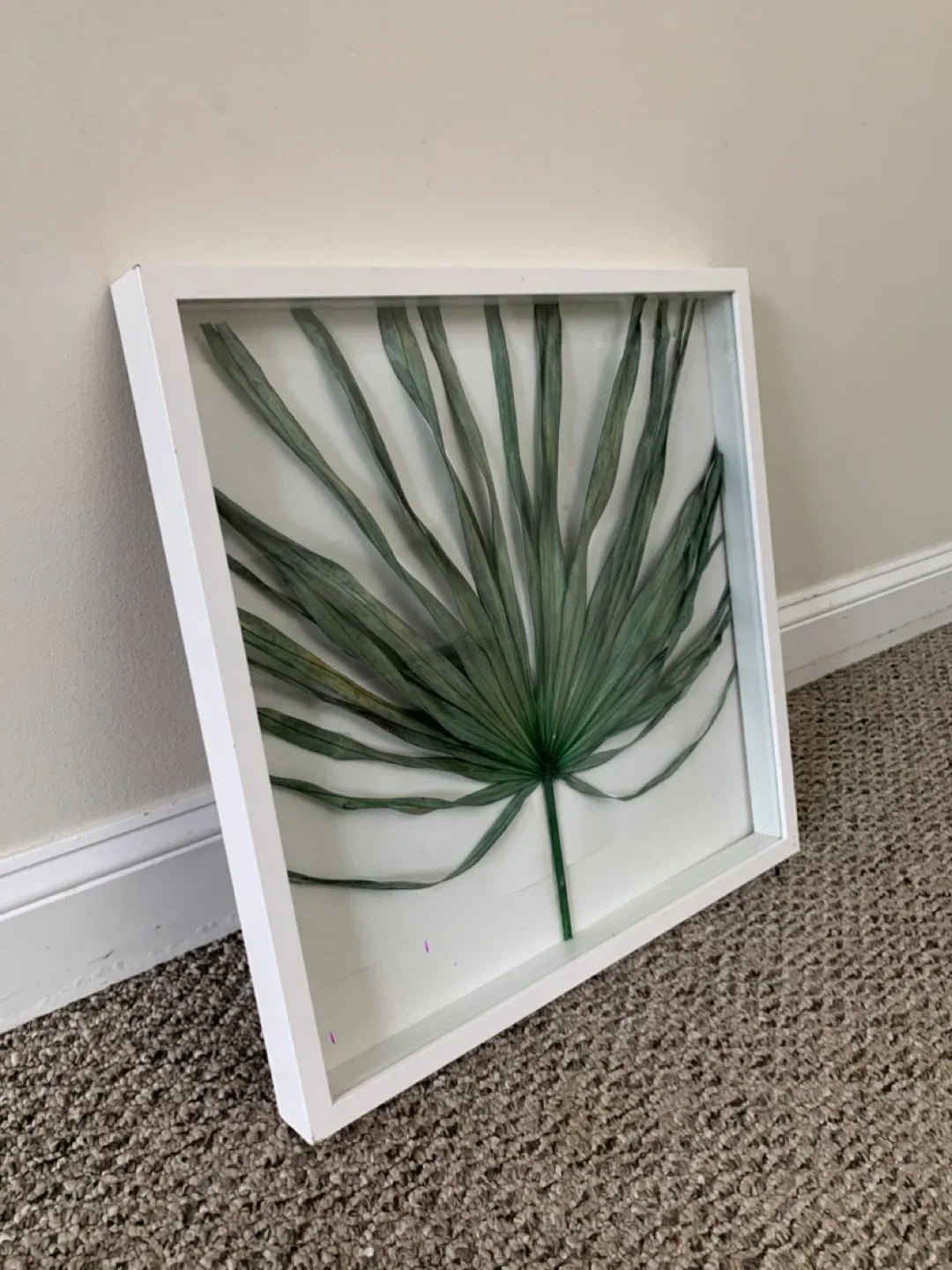 Framed Palm Leaf Art - White Frame / wall artwork / home decor image indicator(2)
