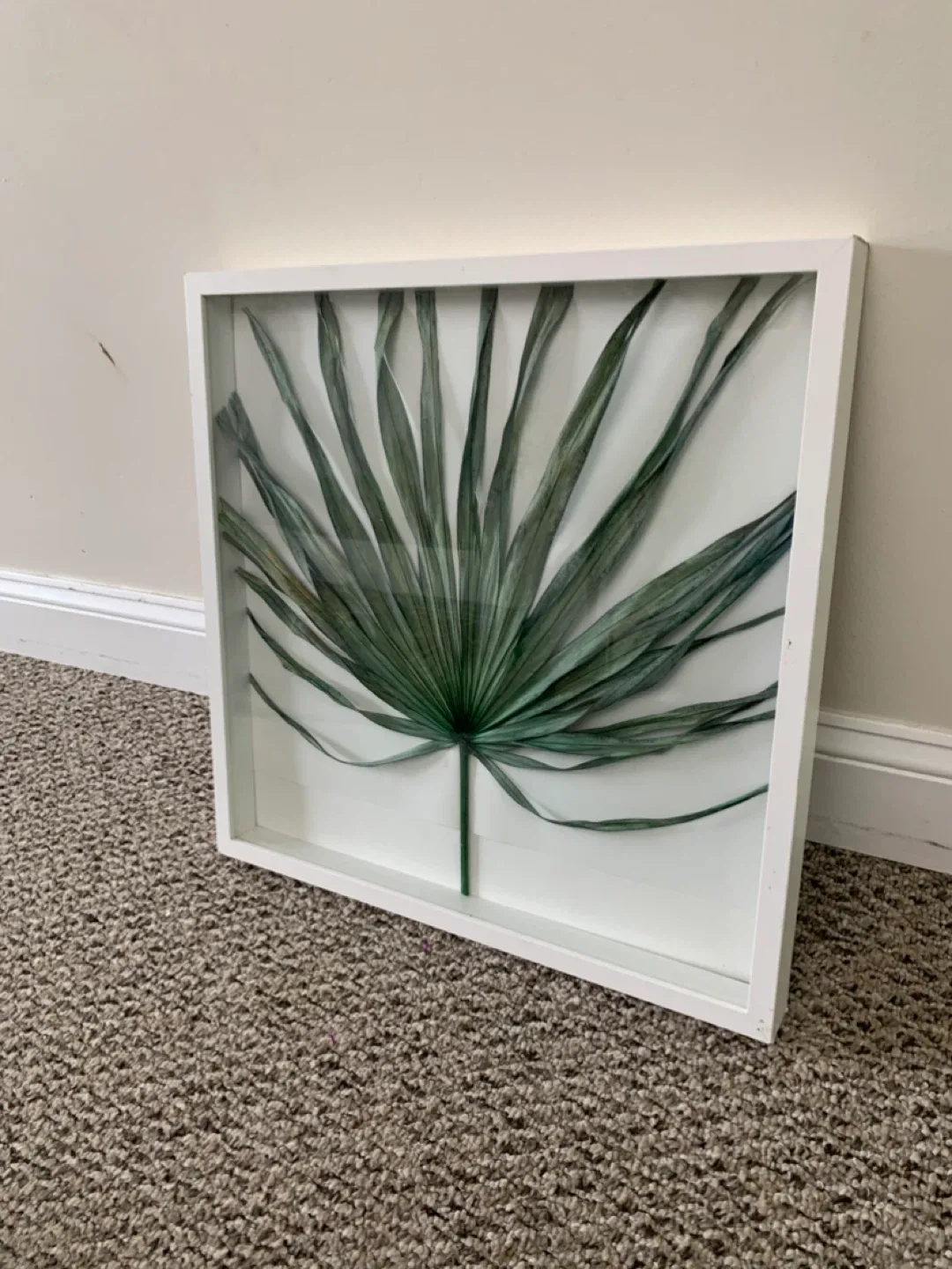 Framed Palm Leaf Art - White Frame / wall artwork / home decor image indicator(9)