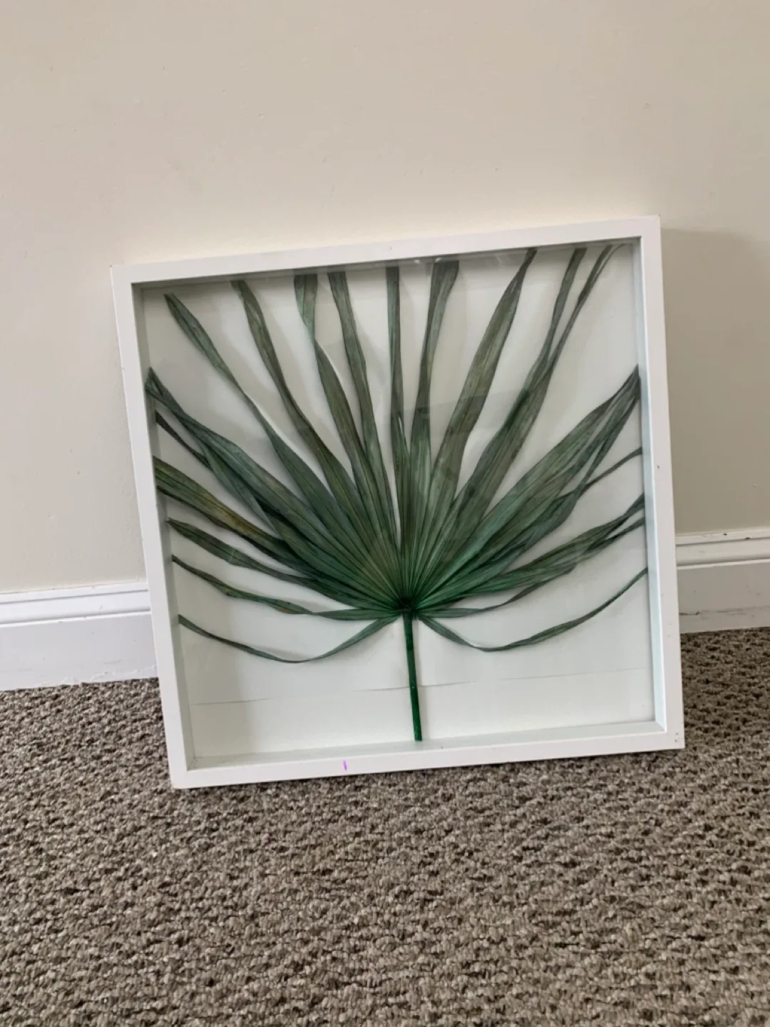 Framed Palm Leaf Art - White Frame / wall artwork / home decor image indicator(10)