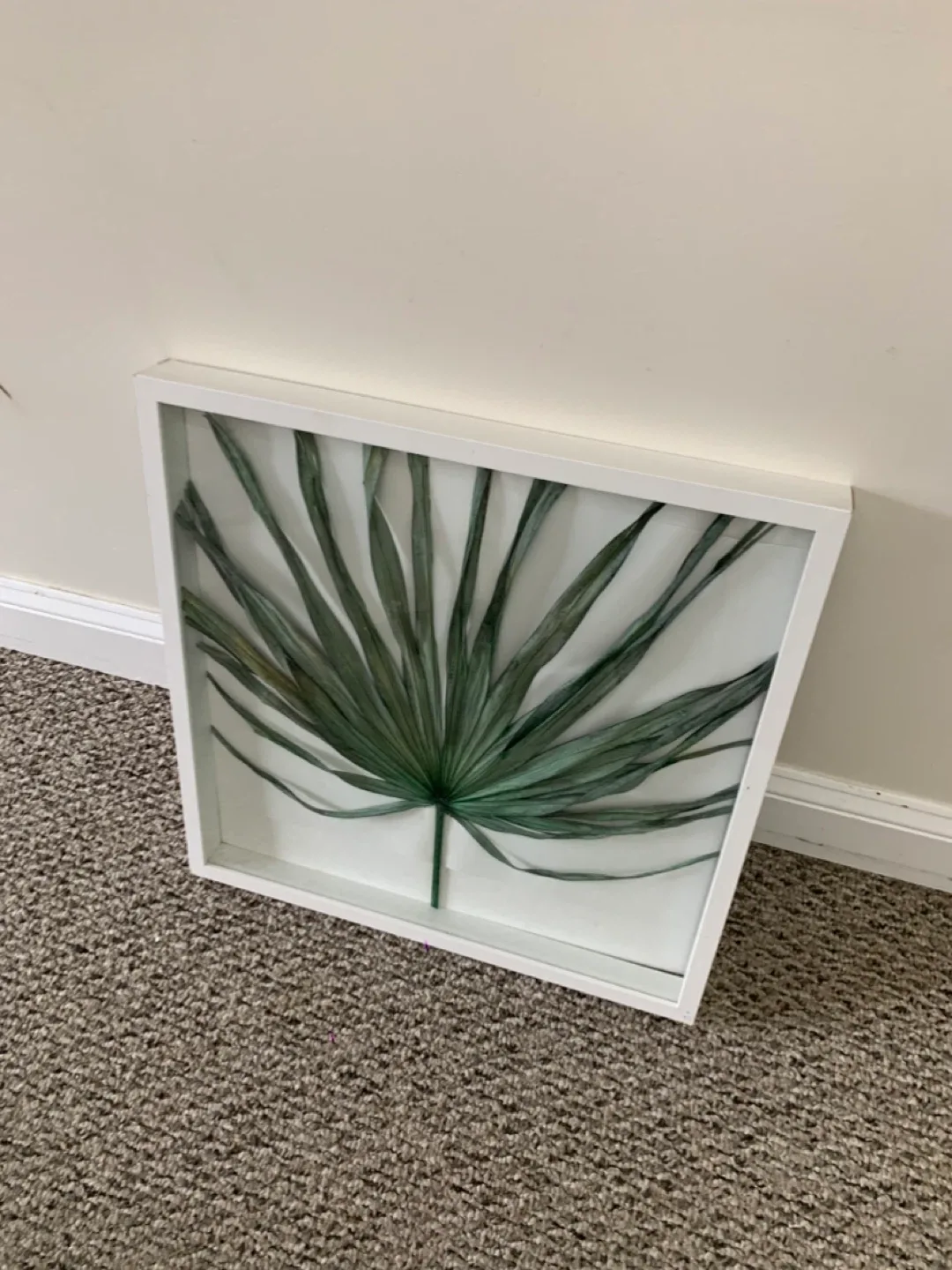 Framed Palm Leaf Art - White Frame / wall artwork / home decor image indicator(8)