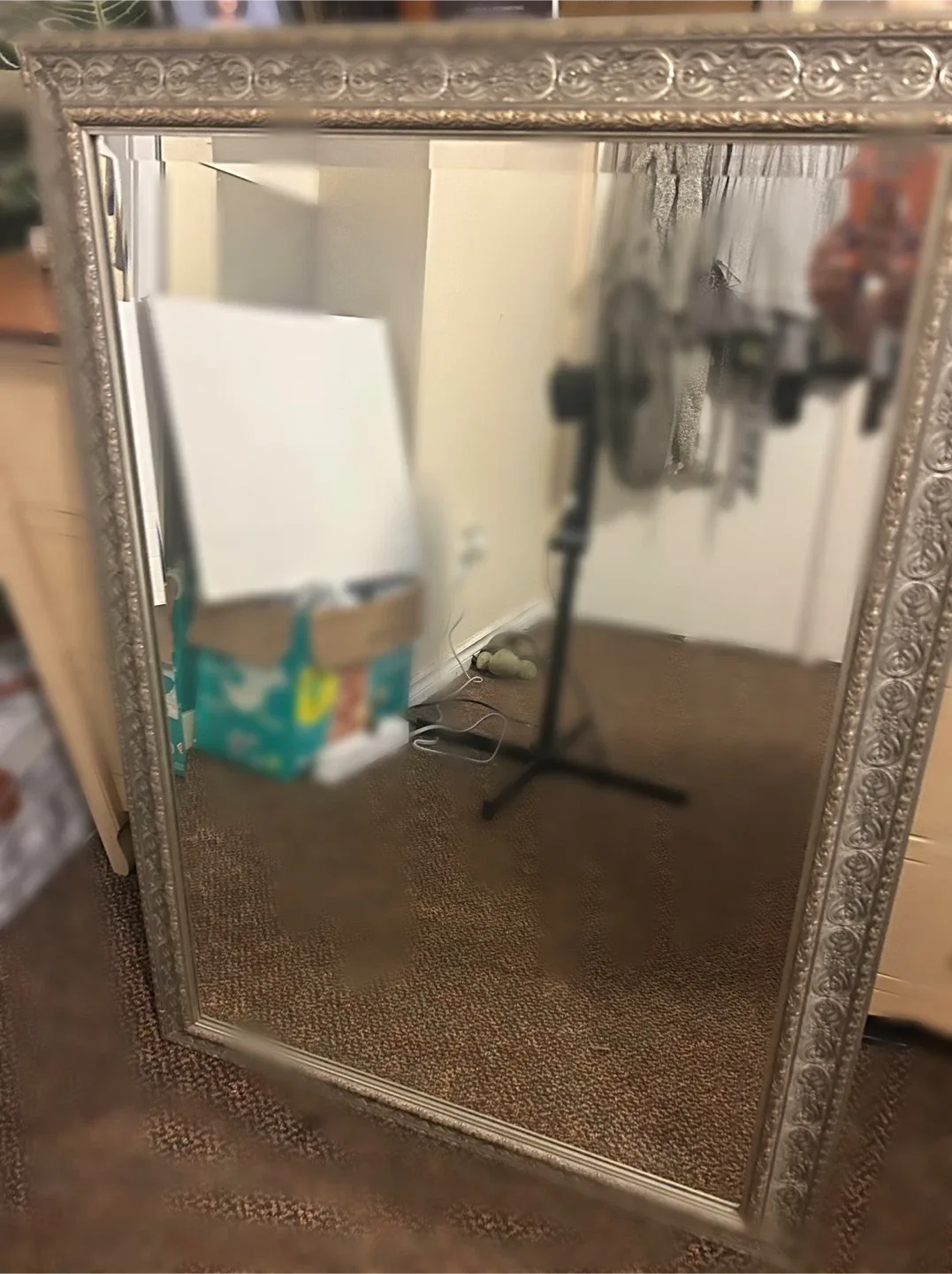 Ornate Framed Mirror image indicator(3)