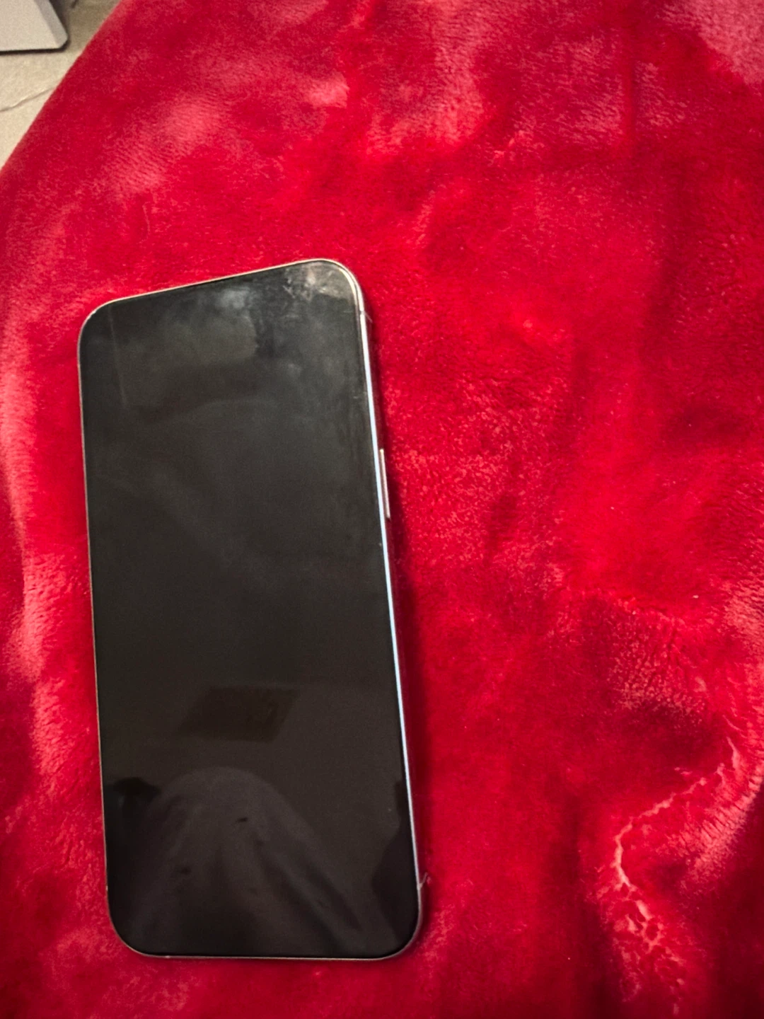 iPhone 13 Pro Max - Silver - photo 2