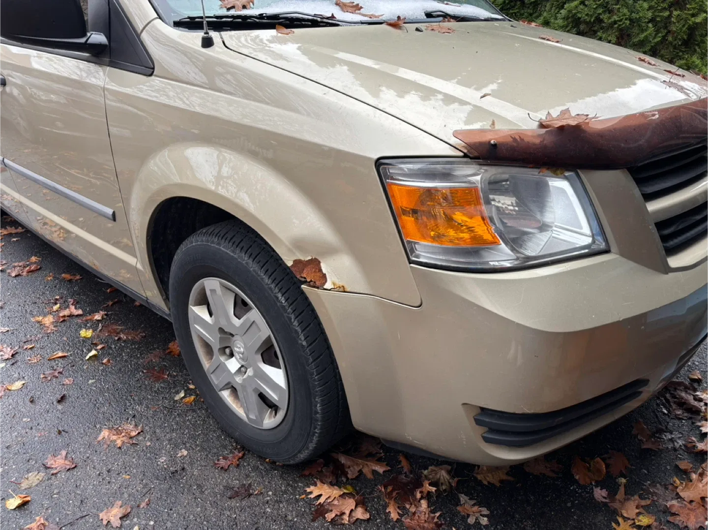 2010 Dodge Grand Caravan image indicator(3)