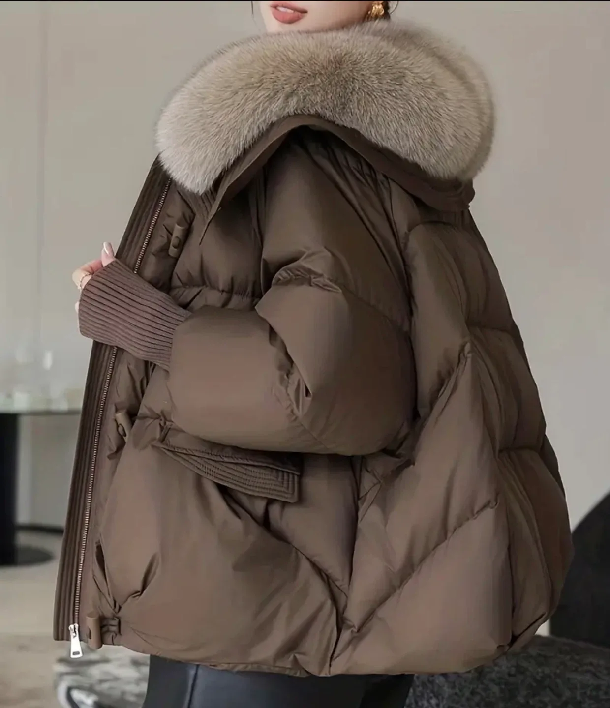 Brown Puffer Jacket with Fur Collar image indicator(2)