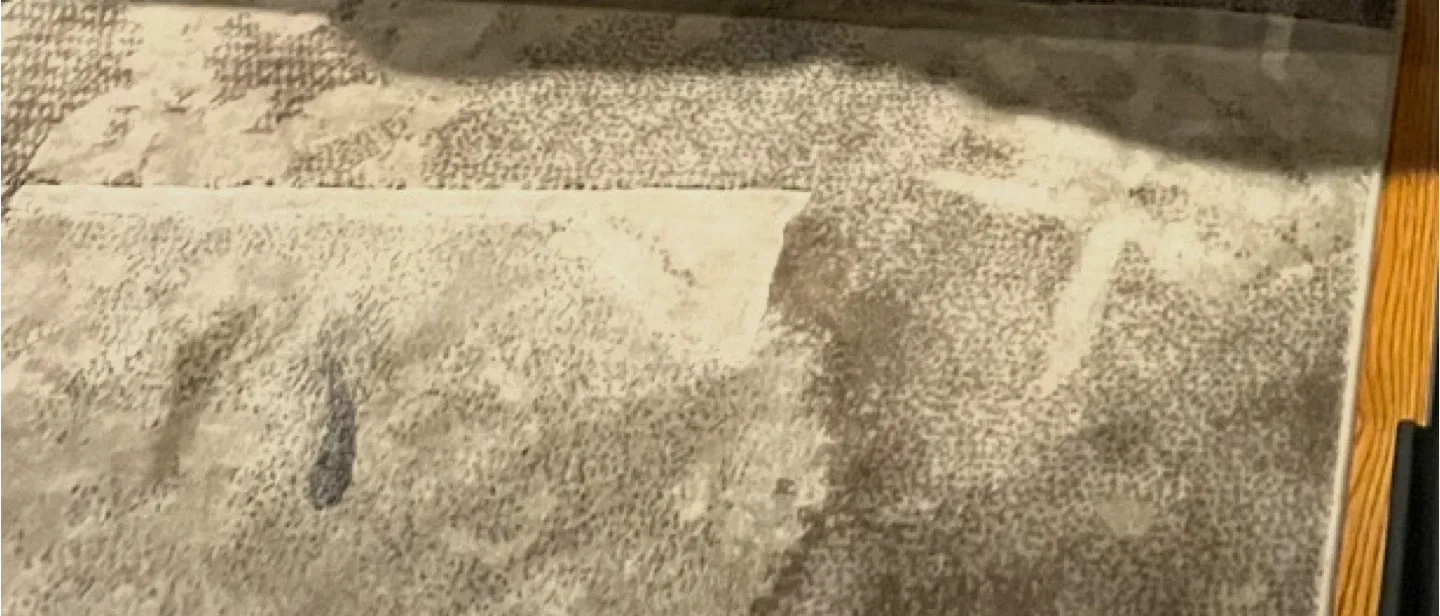 Matrix Superior Quality Rug 200 x 290 cm image indicator(2)