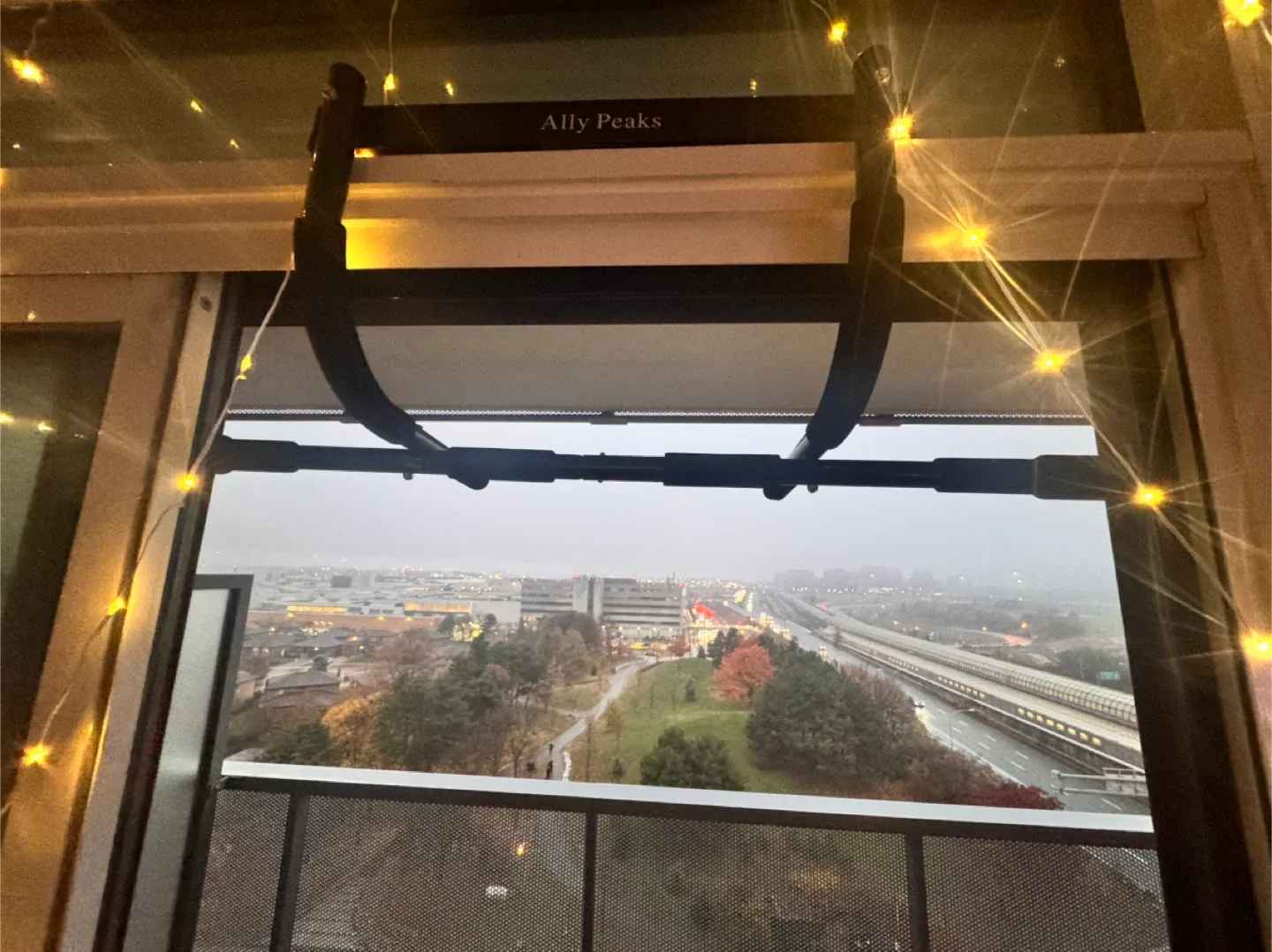 Ally Peaks Pull Up Bar - Doorway Trainer image indicator(3)