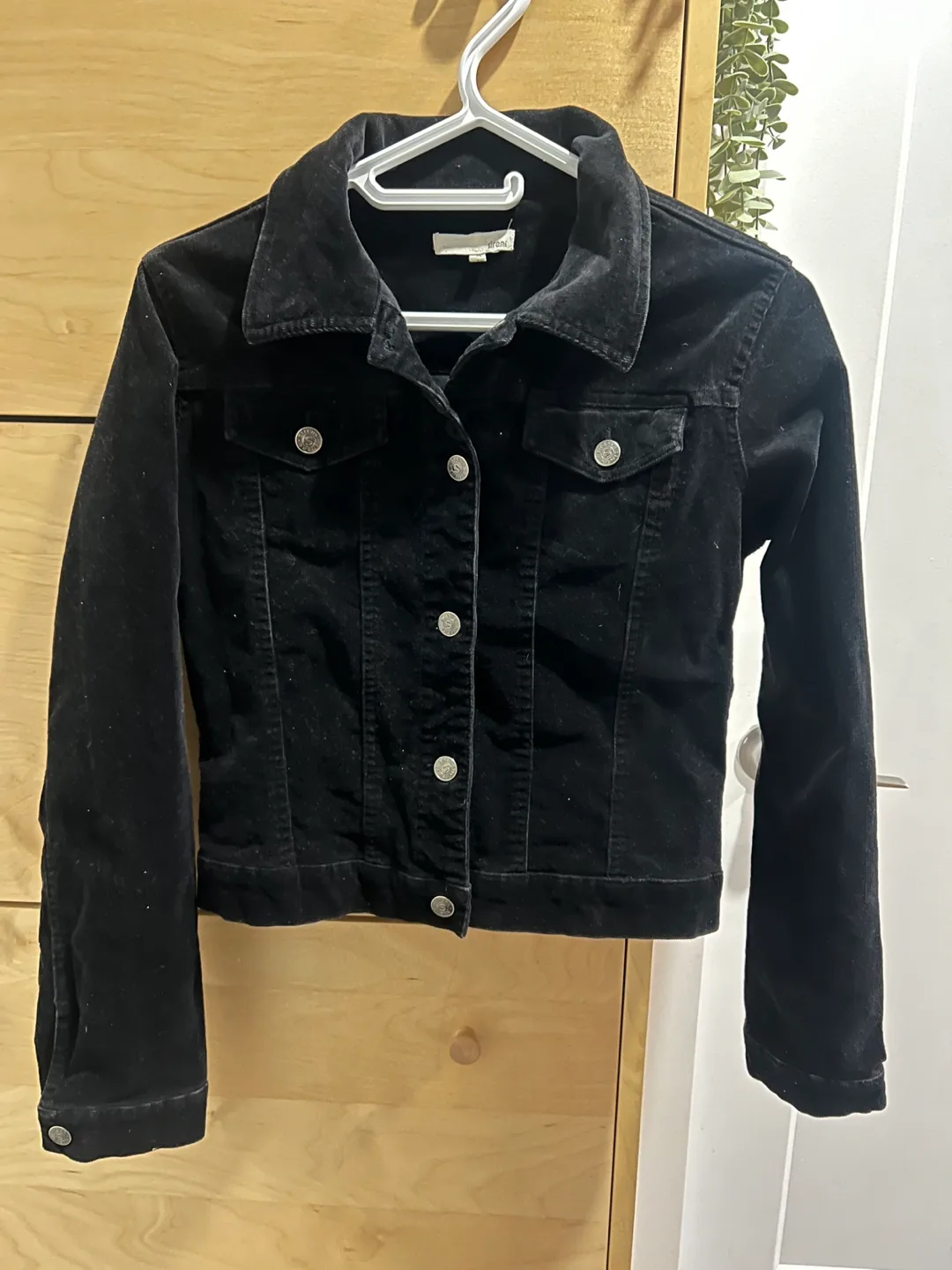 2 Jackets- Denim & Velvet image indicator(2)