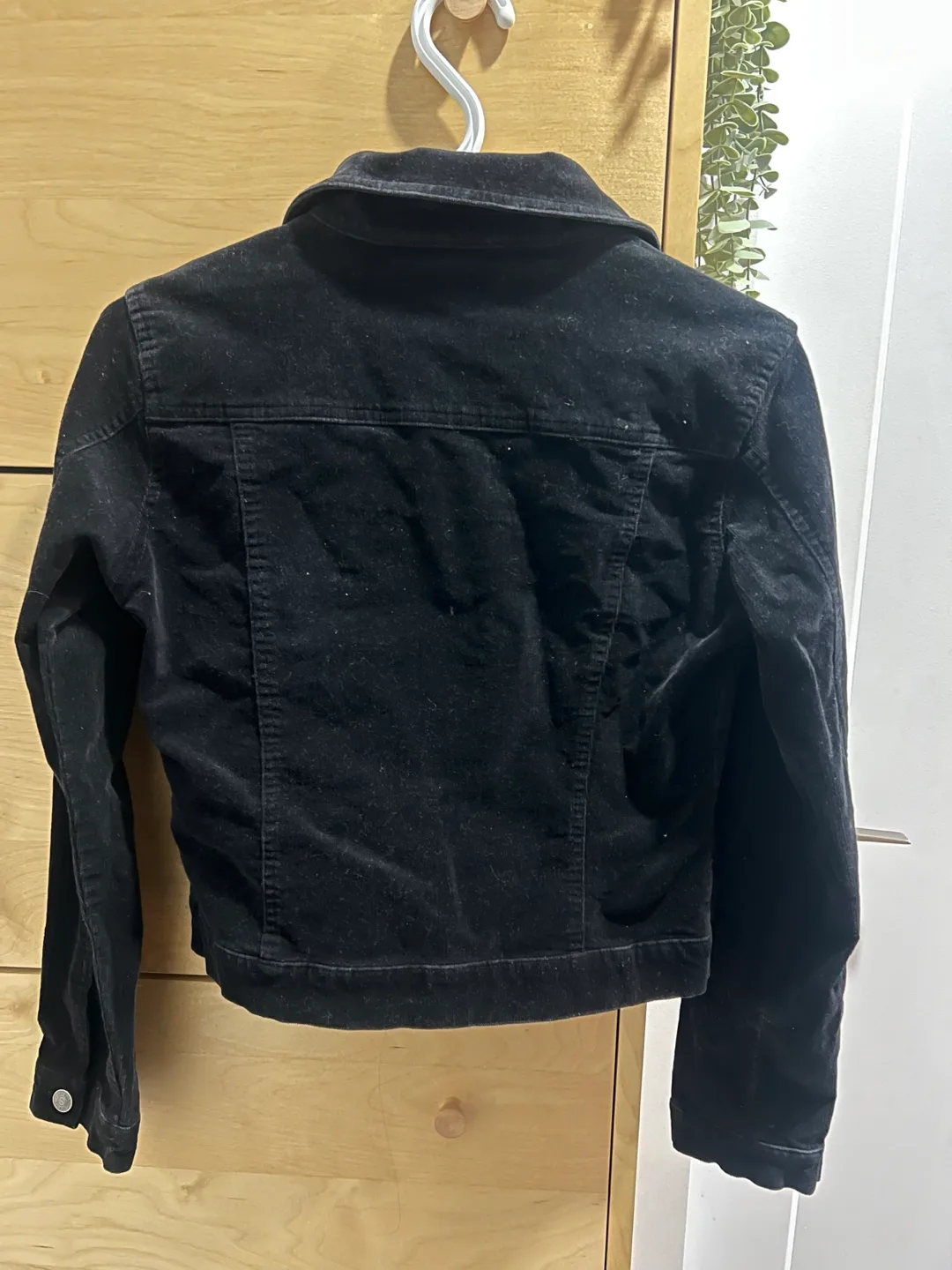 2 Jackets- Denim & Velvet image indicator(4)