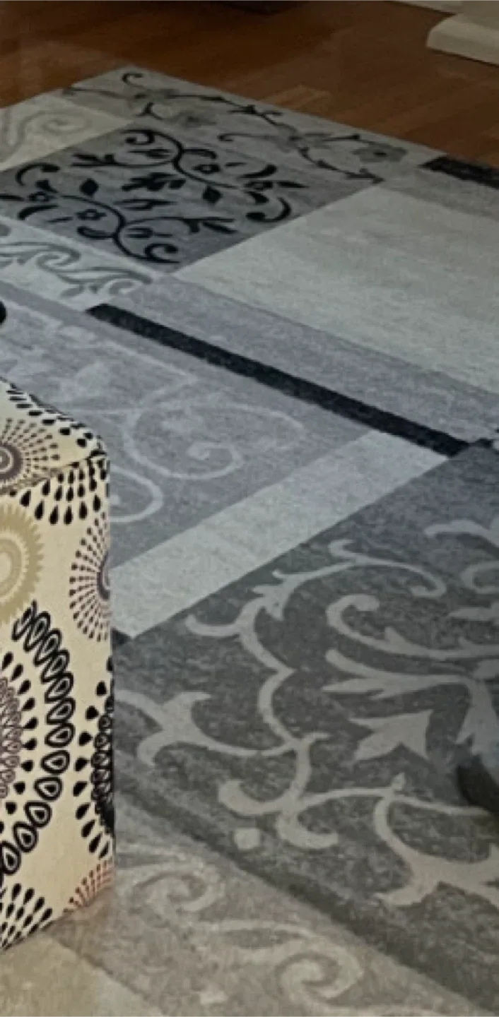 Grey Patterned Area Rug (8 ft x 10 ft) image indicator(2)