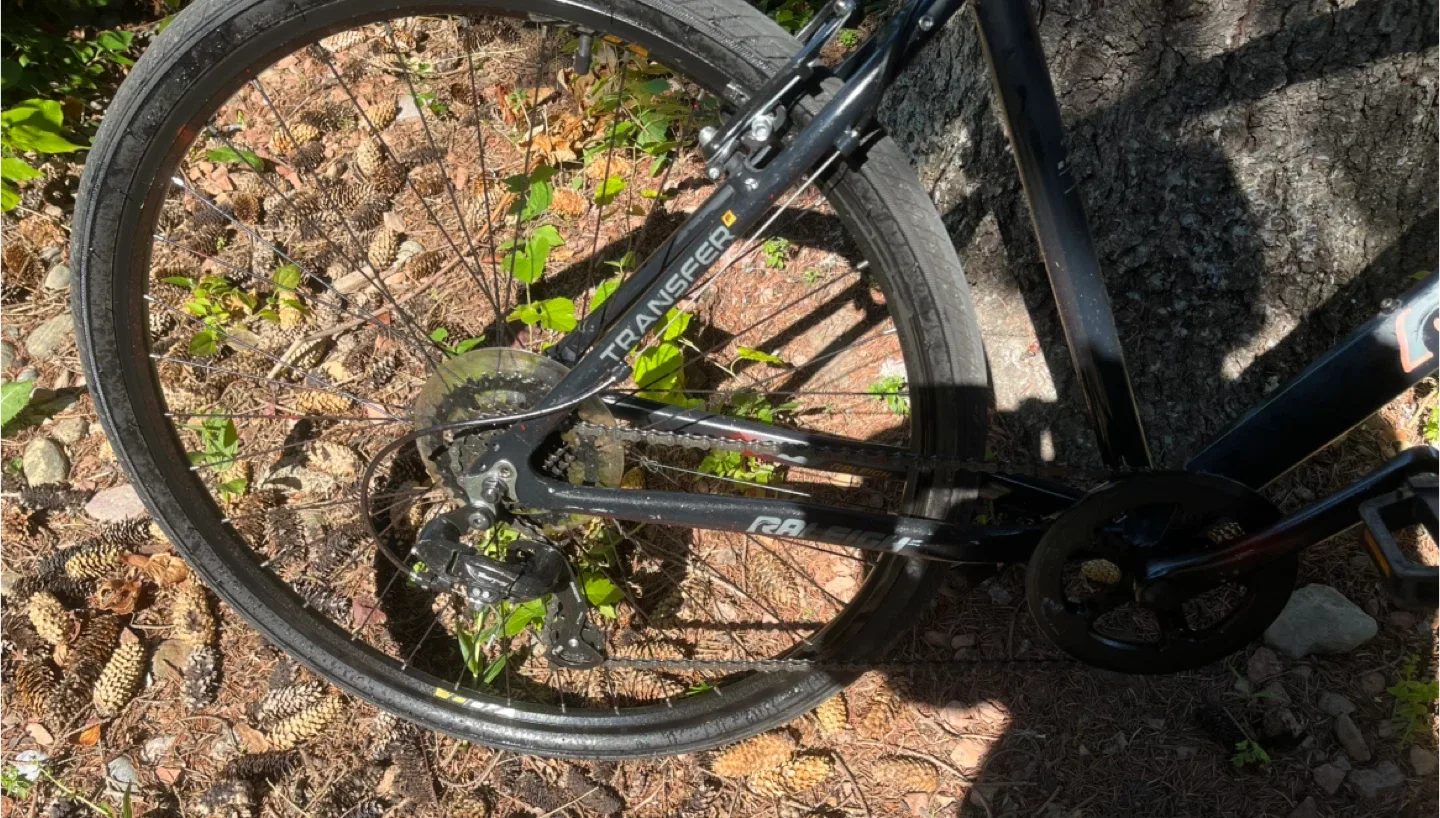 Raleigh Transfer Bike - Black- 28.5 -700C image indicator(4)