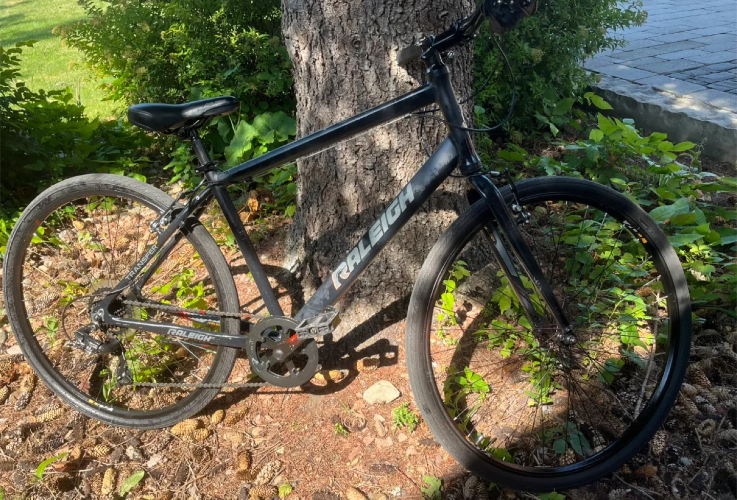 Raleigh Transfer Bike - Black- 28.5 -700C image indicator(5)