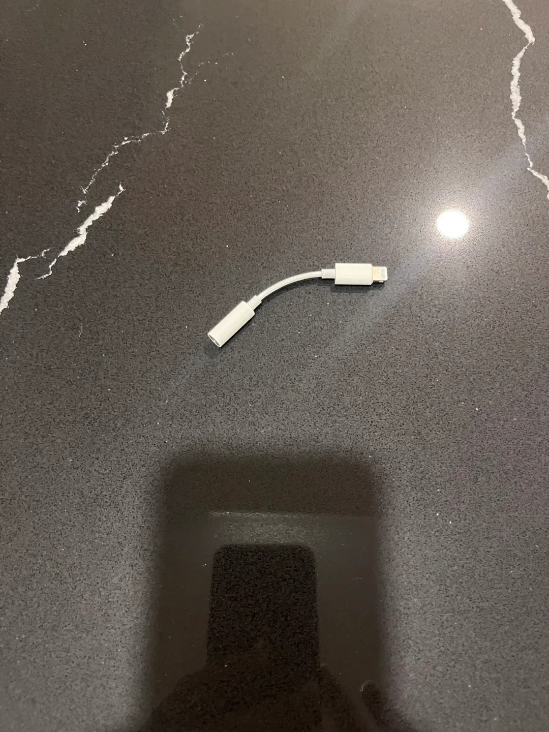 Apple Lightning to 3.5 mm Headphone Jack Adapter.