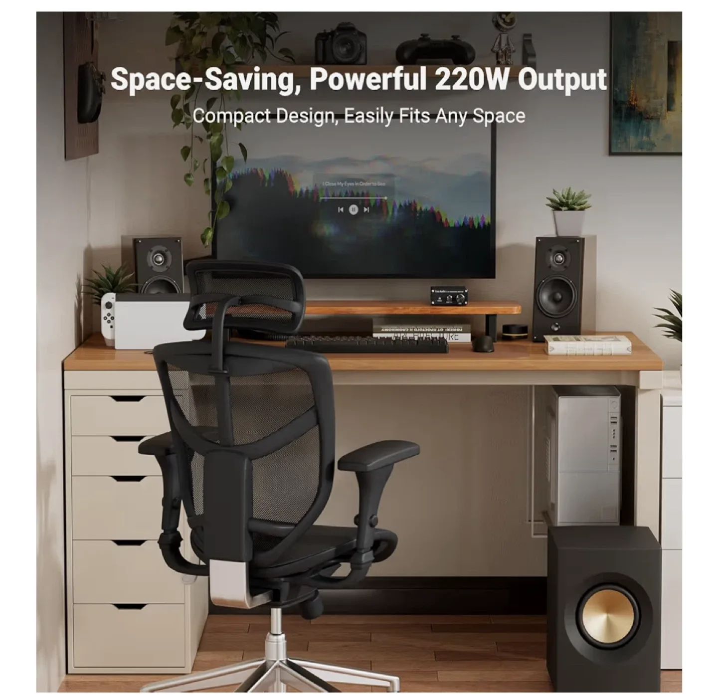 Fosi Audio TP-02 Subwoofer Amplifier image indicator(3)