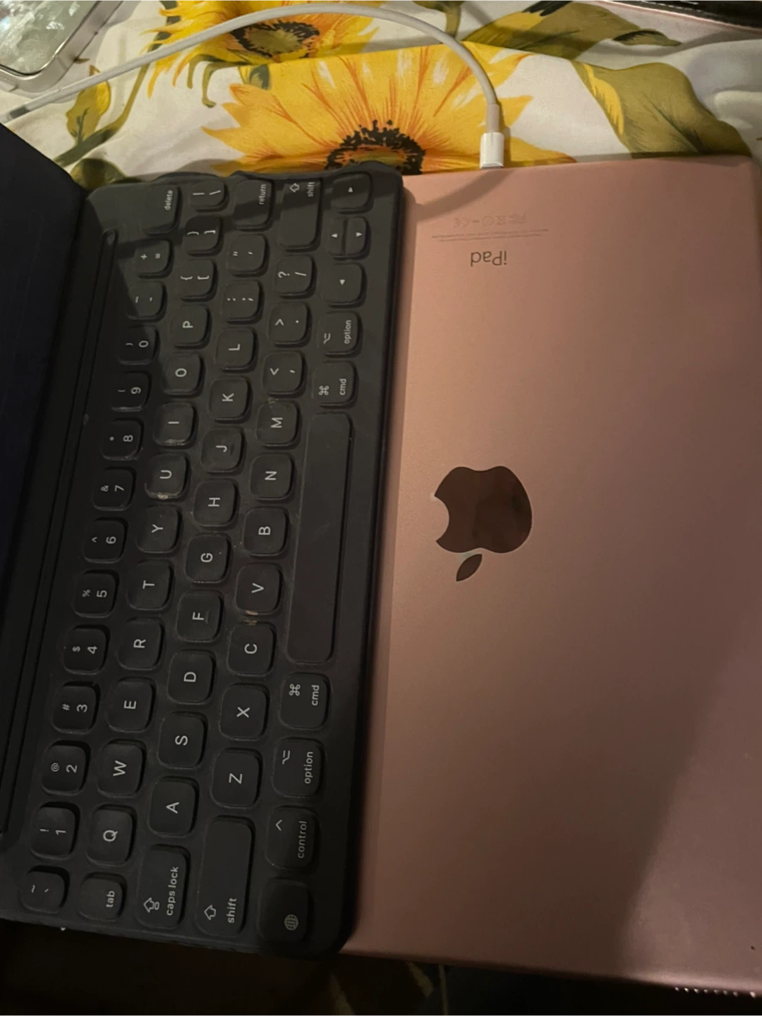 iPad Pro 9.7-inch, 32GB - Rose Gold - photo 4