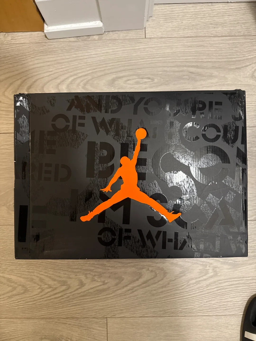 Air Jordan 3 Retro 'Fear Pack' Size 10.5 image indicator(4)